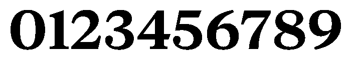 NaNSuperXSerifTextAR PREVIEW Bold Font OTHER CHARS