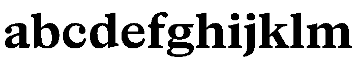 NaNSuperXSerifTextAR PREVIEW Bold FONT