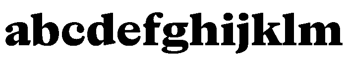 NaNSuperXSerifTextAR PREVIEW ExtraBold FONT