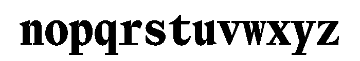 NaNTragedyDisplay BlackDisplayMono Instance Font LOWERCASE