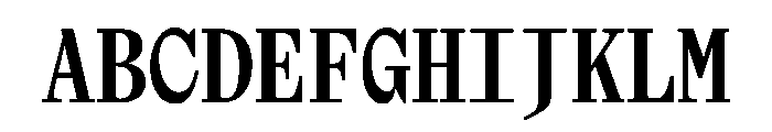 NaNTragedyDisplayMono Bold Font UPPERCASE