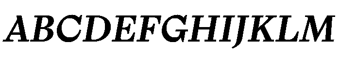 NaNTragedyItalic BoldItalic Instance Font UPPERCASE