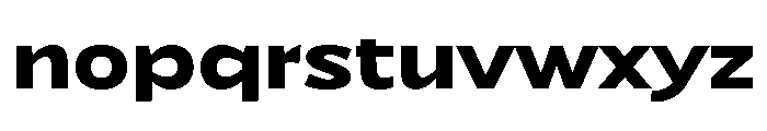 NaokoAALimited Bold Font LOWERCASE
