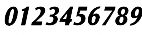Nat Grotesk Black Italic Font OTHER CHARS