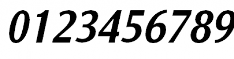 Nat Grotesk Bold Italic Font OTHER CHARS