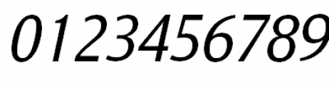 Nat Grotesk Regular Italic Font OTHER CHARS