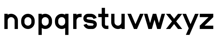 NB Grotesk Bold Font LOWERCASE
