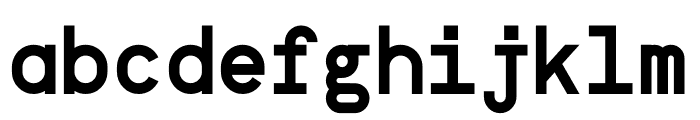 NB Grotesk Mono Bold Font LOWERCASE