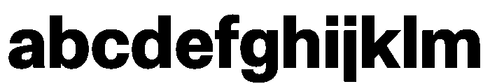 NCFontina Bold Instance 18ba1f53 FONT