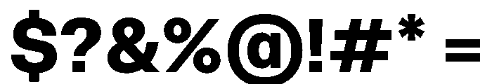 NCFontina Bold Instance Font OTHER CHARS