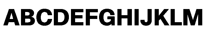 NCFontina Bold Font UPPERCASE