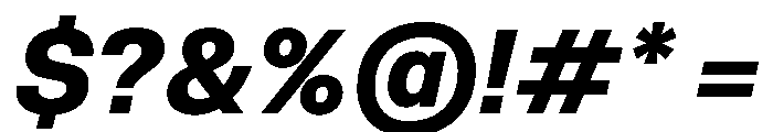 NCFontina BoldItalic Instance Font OTHER CHARS