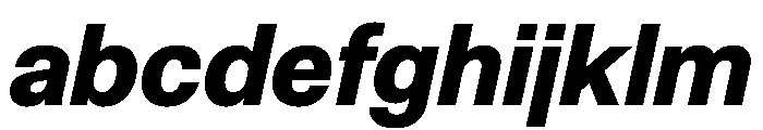 NCFontina BoldItalic Instance FONT