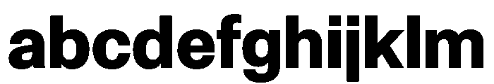 NCFontina Bold FONT