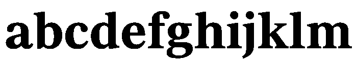 NCKobyla Bold Instance FONT