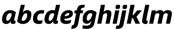 Neue Frutiger World Extra Bold Italic FONT