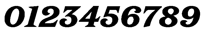 New Atlas Black Italic Font OTHER CHARS