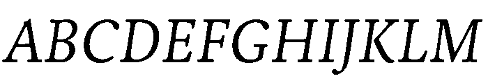 Nexus Serif Italic Font UPPERCASE