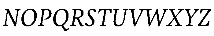 Nexus Serif Italic Font UPPERCASE