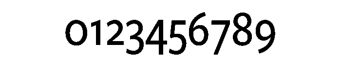 Nexus Serif Medium Font OTHER CHARS