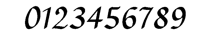 NEW YEAR ELEGANCE Font OTHER CHARS