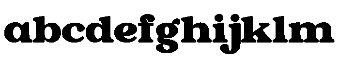 NEWSFORD Regular FONT