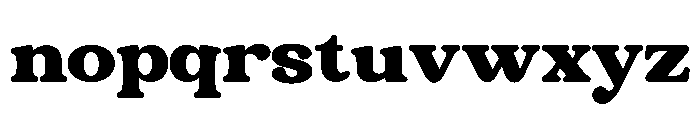 NEWSFORD Regular Font LOWERCASE