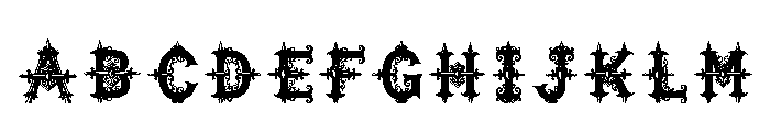N***o Regular FONT