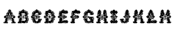 Nerion Regular FONT
