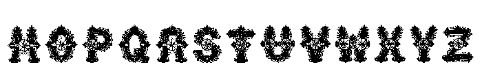 Nerion Regular Font LOWERCASE