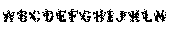 Ness Regular FONT