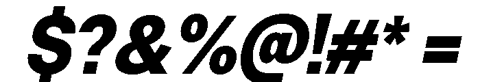 Neue Celso Black Italic Font OTHER CHARS