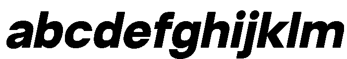 Neue Celso Black Italic FONT