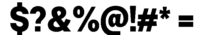 Neue Celso Black Font OTHER CHARS
