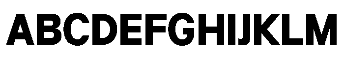 Neue Celso Black Font UPPERCASE
