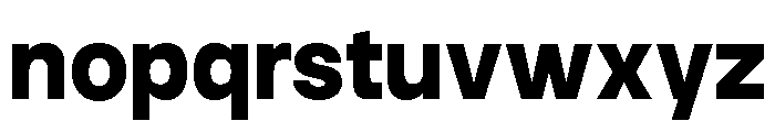 Neue Celso Black Font LOWERCASE