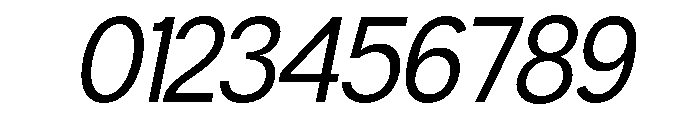 Neue Celso Italic Font OTHER CHARS