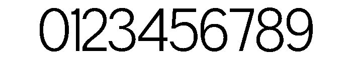 Neue Celso Light Font OTHER CHARS