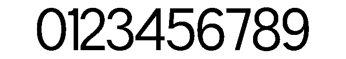 Neue Celso Regular Font OTHER CHARS