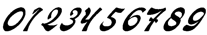 Nevroda Wisdom Italic Font OTHER CHARS