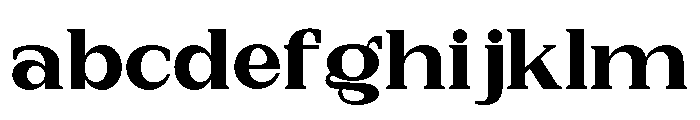 New Bight Black Expanded FONT