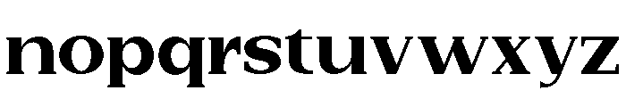 New Bight Black Expanded Font LOWERCASE