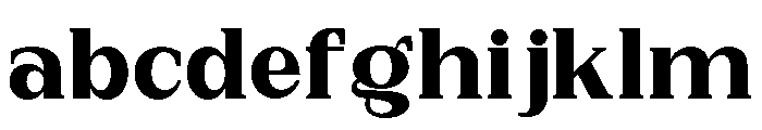 New Bight Black Semi Expanded FONT