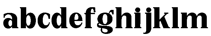 New Bight Black FONT
