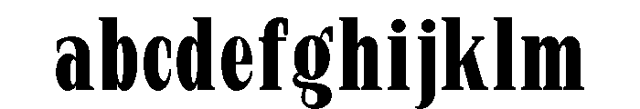 New Bight Bold Condensed FONT