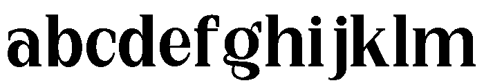 New Bight Bold FONT