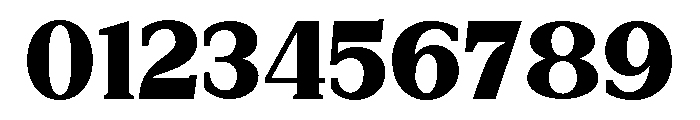 New Bight ExtBlk SemExp Font OTHER CHARS