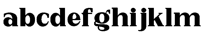 New Bight ExtBlk SemExp FONT