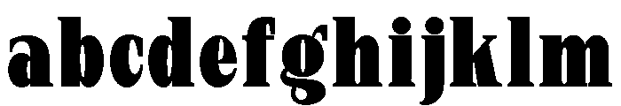New Bight Extra Black Condensed FONT