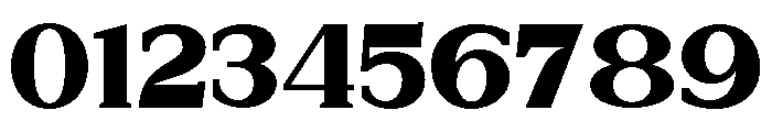 New Bight Extra Black Expanded Font OTHER CHARS